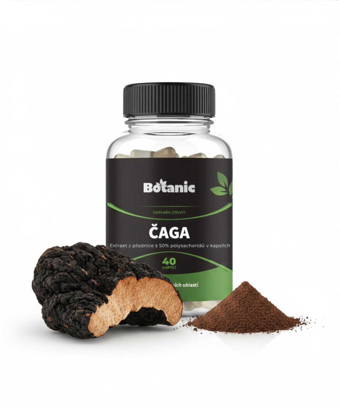 Čaga